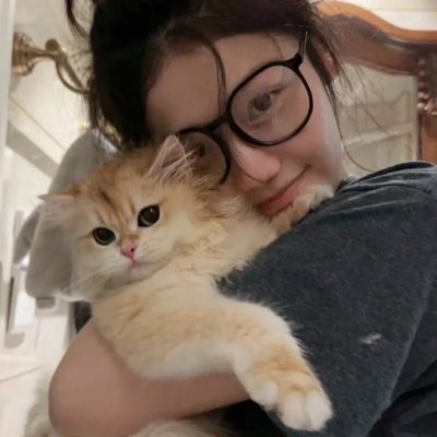 猫灵相册