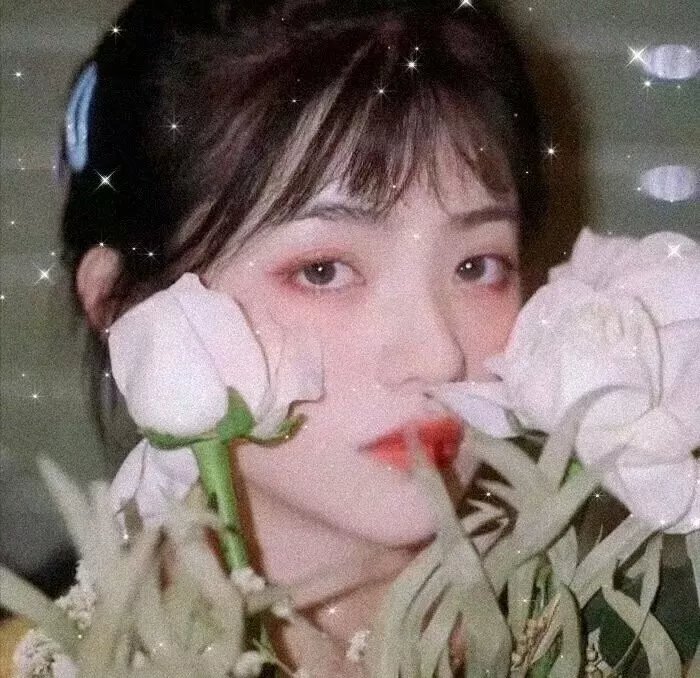 夜限照相馆