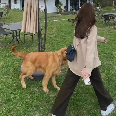 虐童疑云